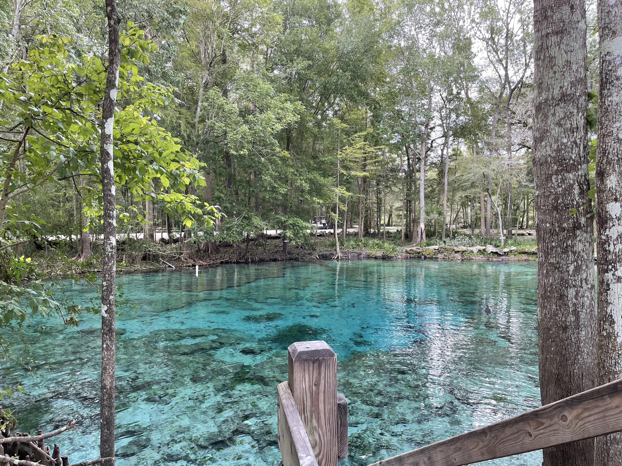 Jacksonville / Savannah 2023